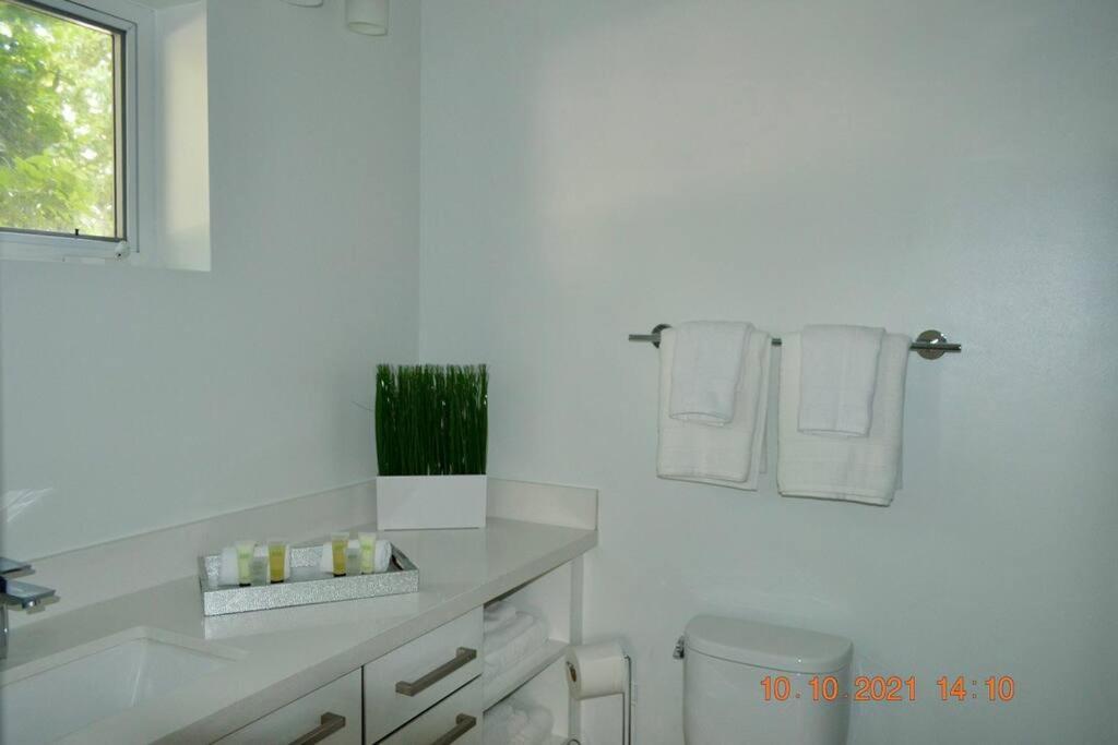 Across The Ocean Few Steps To Beach Contemporary Three Bedroom Townhouse Pompano Beach Extérieur photo